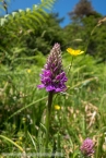 201606_scotland_sw2nw_092