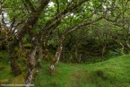 201606_scotland_sw2nw_172