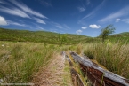 201606_scotland_sw2nw_195