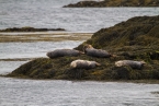 201606_scotland_sw2nw_227