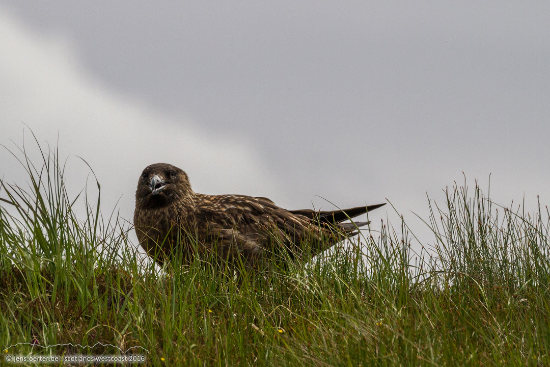 201606_scotland_sw2nw_380