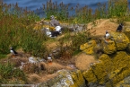 201606_scotland_sw2nw_388