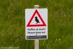 201606_scotland_sw2nw_393