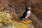 201606_scotland_sw2nw_406