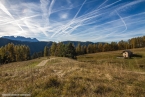201611_rosengarten_006