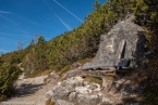 201611_rosengarten_009