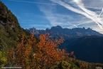 201611_rosengarten_010