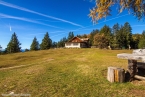201611_rosengarten_015