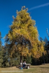 201611_rosengarten_016