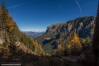 201611_rosengarten_017