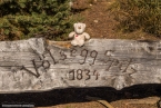 201611_rosengarten_029