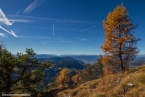 201611_rosengarten_031