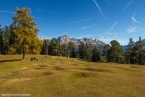 201611_rosengarten_033
