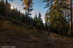 201611_rosengarten_035