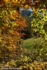 201611_rosengarten_037
