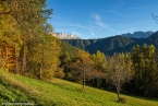 201611_rosengarten_038