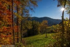 201611_rosengarten_039