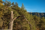 201611_rosengarten_040