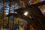 201611_rosengarten_041