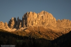 201611_rosengarten_042