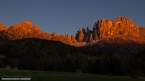 201611_rosengarten_043