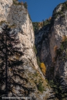 201611_rosengarten_044