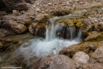201611_rosengarten_045