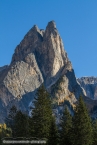 201611_rosengarten_051