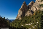 201611_rosengarten_054