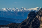 201611_rosengarten_055