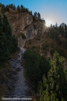 201611_rosengarten_056