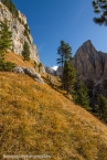 201611_rosengarten_057