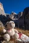 201611_rosengarten_059