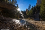 201611_rosengarten_064