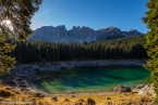 201611_rosengarten_066