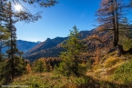 201611_rosengarten_068