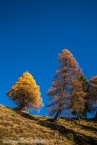 201611_rosengarten_069