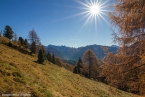 201611_rosengarten_070