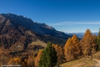 201611_rosengarten_071