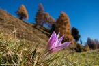 201611_rosengarten_072