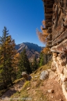 201611_rosengarten_073