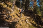 201611_rosengarten_075
