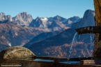 201611_rosengarten_076