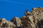 201611_rosengarten_080