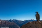 201611_rosengarten_088