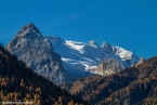 201611_rosengarten_093