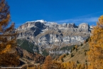 201611_rosengarten_094