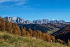 201611_rosengarten_096