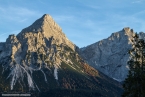 201611_rosengarten_106