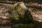 Bild00006